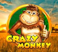 Crazy Monkey